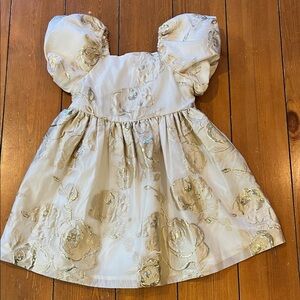 Biscotti Collection Floral Gold Shimmered Party Dress Girls Size 4 EUC